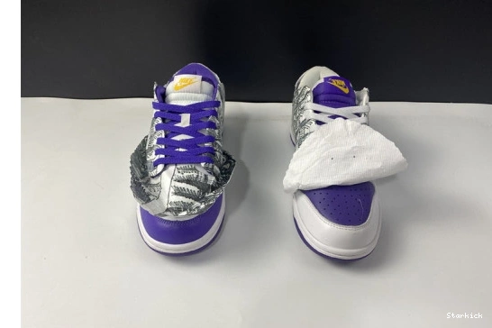 DJ4636-100 Nike the Low Dunk School Old Flip 0831